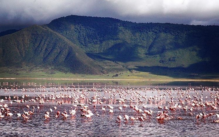 Ngorongoro Crater